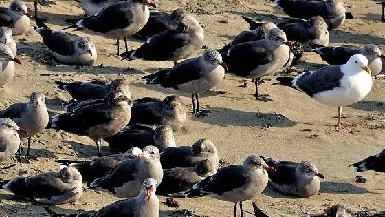 In parete solo artisti andati contro corrente