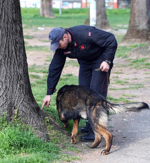 Lancia la bici contro i carabinieri 