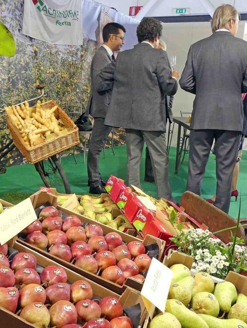 La Cina apre ai prodotti Dop e Igp 