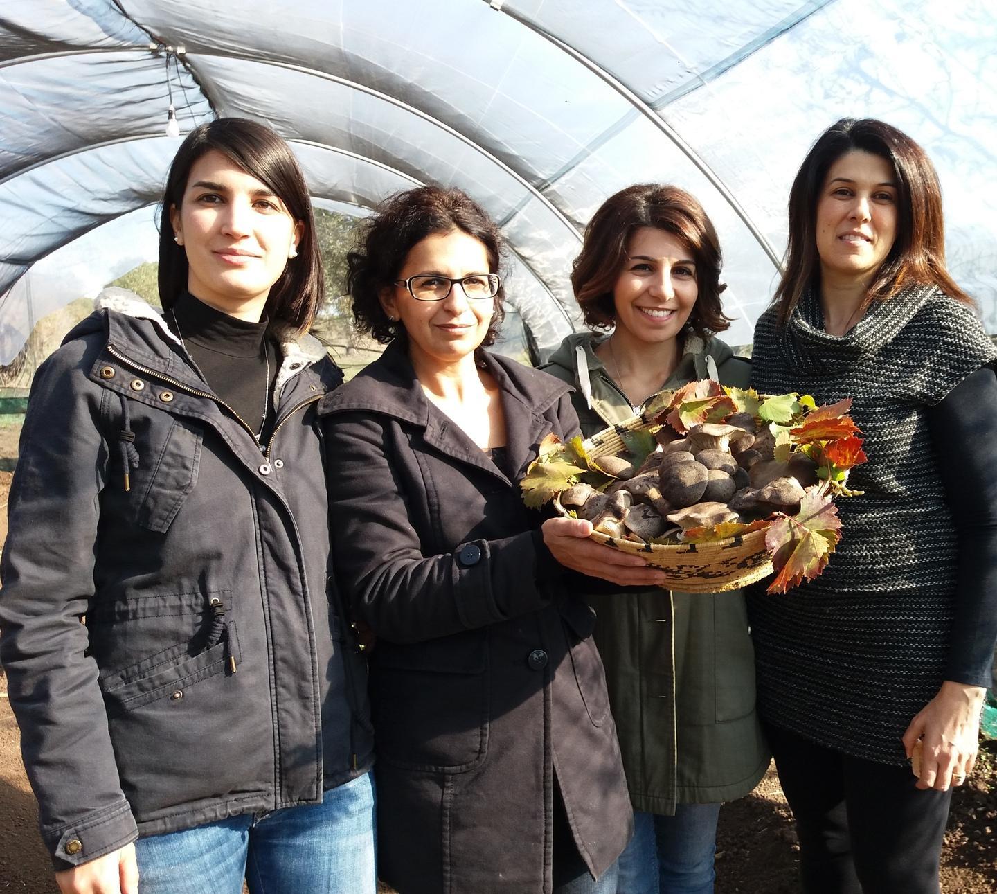 Progetto cardoncello l’entusiasmo nei campi 