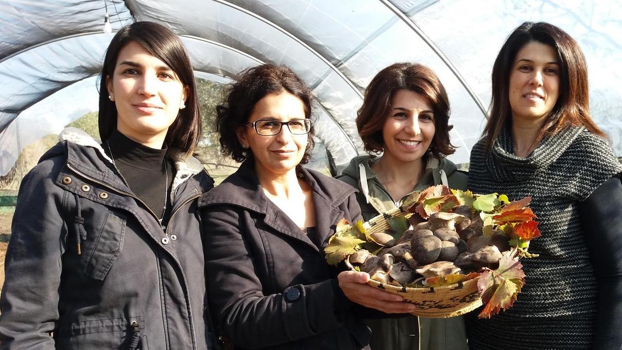 Progetto cardoncello l’entusiasmo nei campi