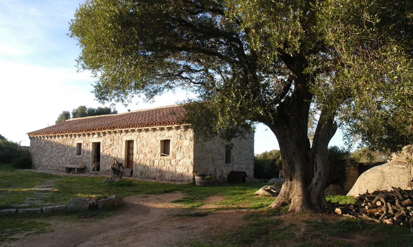 Ambiente da salvare l’ultimo baluardo sono i vecchi stazzi 