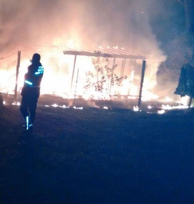 Bruciano una baracca a Marina di Grosseto e mezzo ettaro di bosco a Polveraia