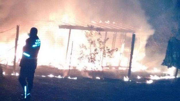 Bruciano una baracca a Marina di Grosseto e mezzo ettaro di bosco a Polveraia