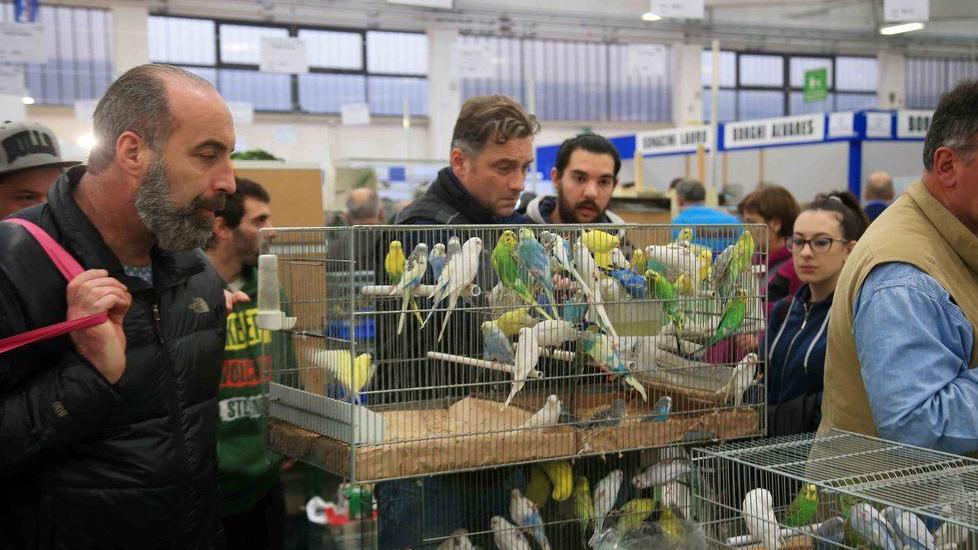 «Ornitologica, record da 15mila visitatori»