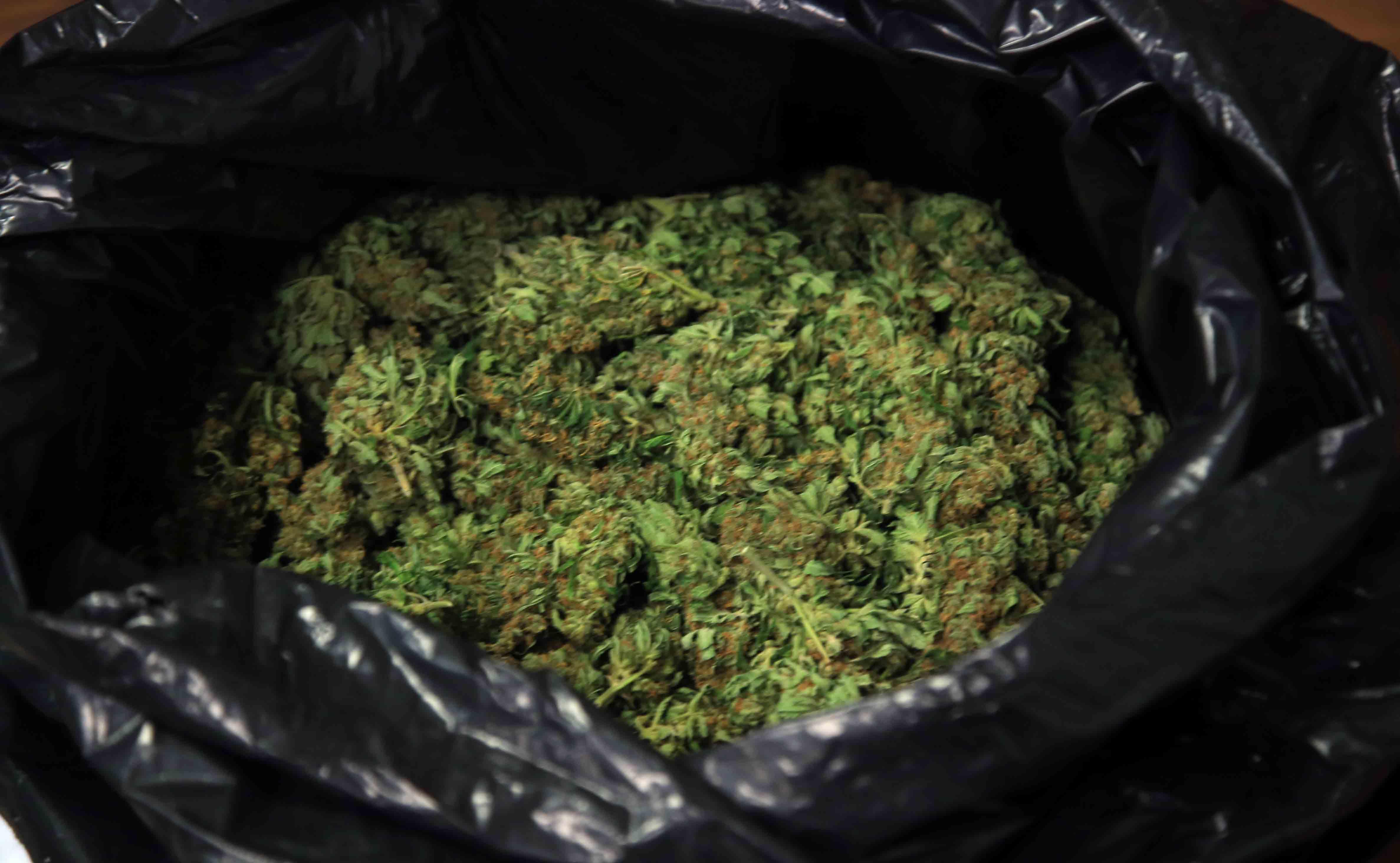 Cavriago: trovato con 20 grammi di marijuana, denunciato