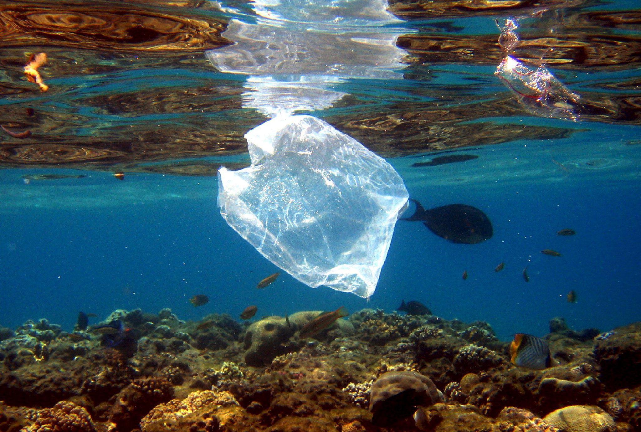 Un mare di plastica, seminario antinquinamento in Capitaneria di porto