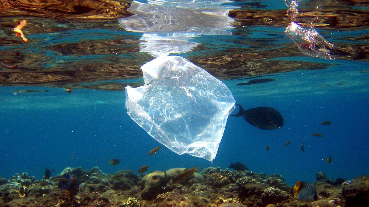 Un mare di plastica, seminario antinquinamento in Capitaneria di porto