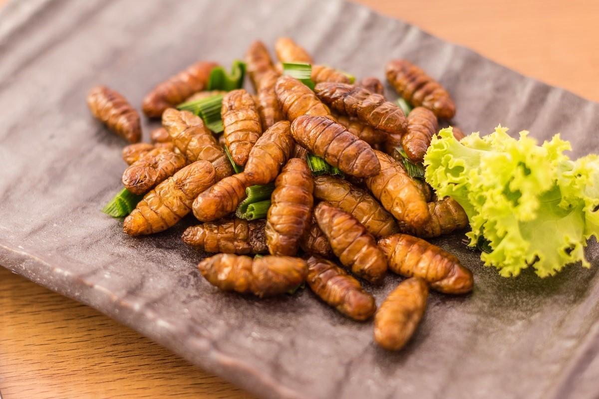 Pizza ai grilli, snack di larva: la rivoluzione è nel piatto 