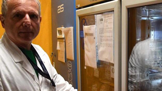 Raddoppiano i donatori della domenica I medici: «Bene, ma il sangue serve sempre»