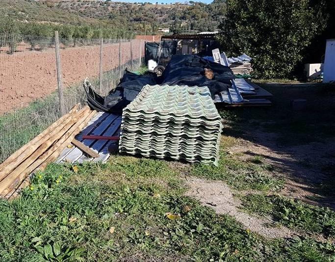 Arrivano i tetti per animali maltrattati 