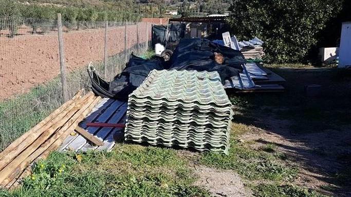 Arrivano i tetti per animali maltrattati