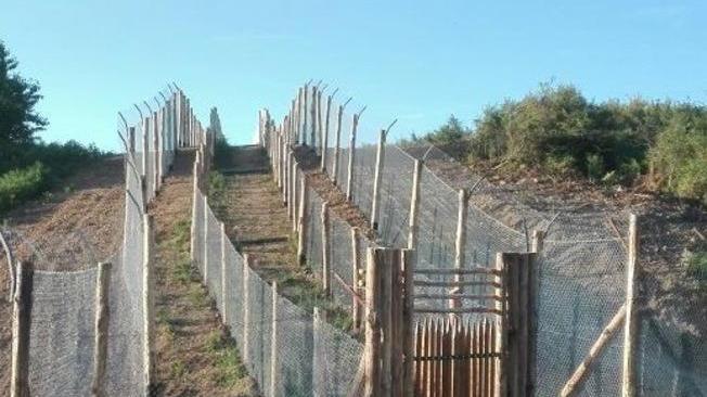 Marini: «Ospiteremo gli ibridi se li manterrà la Regione»