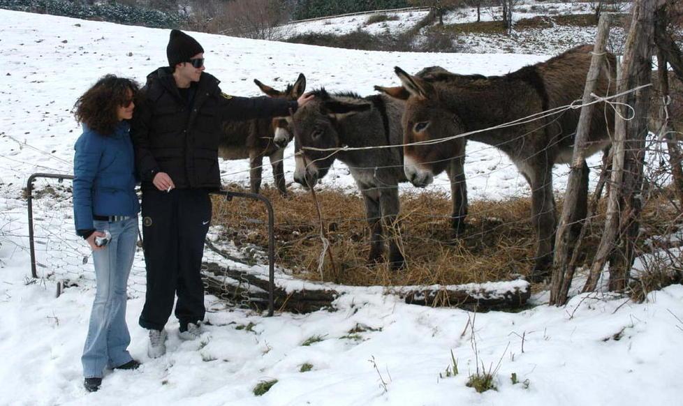 Lupi, mufloni e piante rare il parco faunistico stupirà 