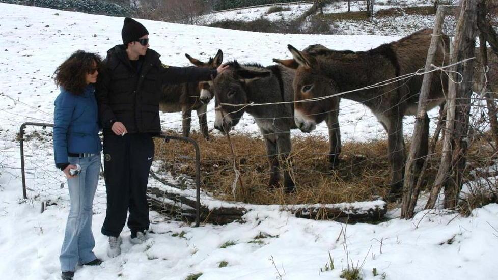 Lupi, mufloni e piante rare il parco faunistico stupirà