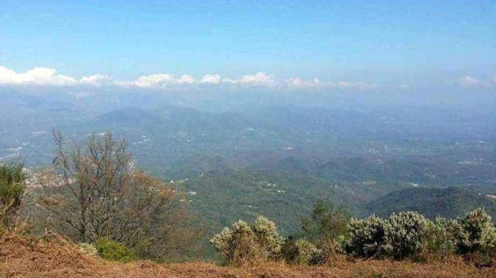 Strada antincendio e per trekking nei boschi di Villa Porcola