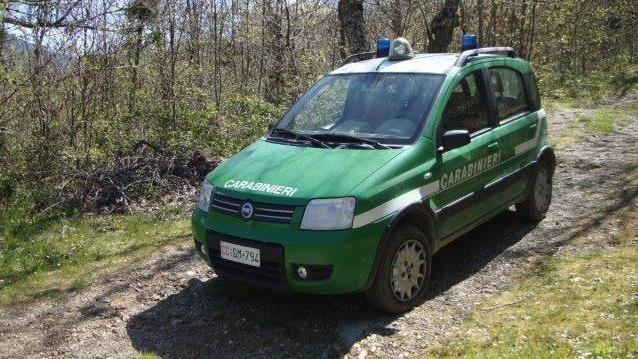 Un mezzo dei carabinieri forestali (foto d'archivio)