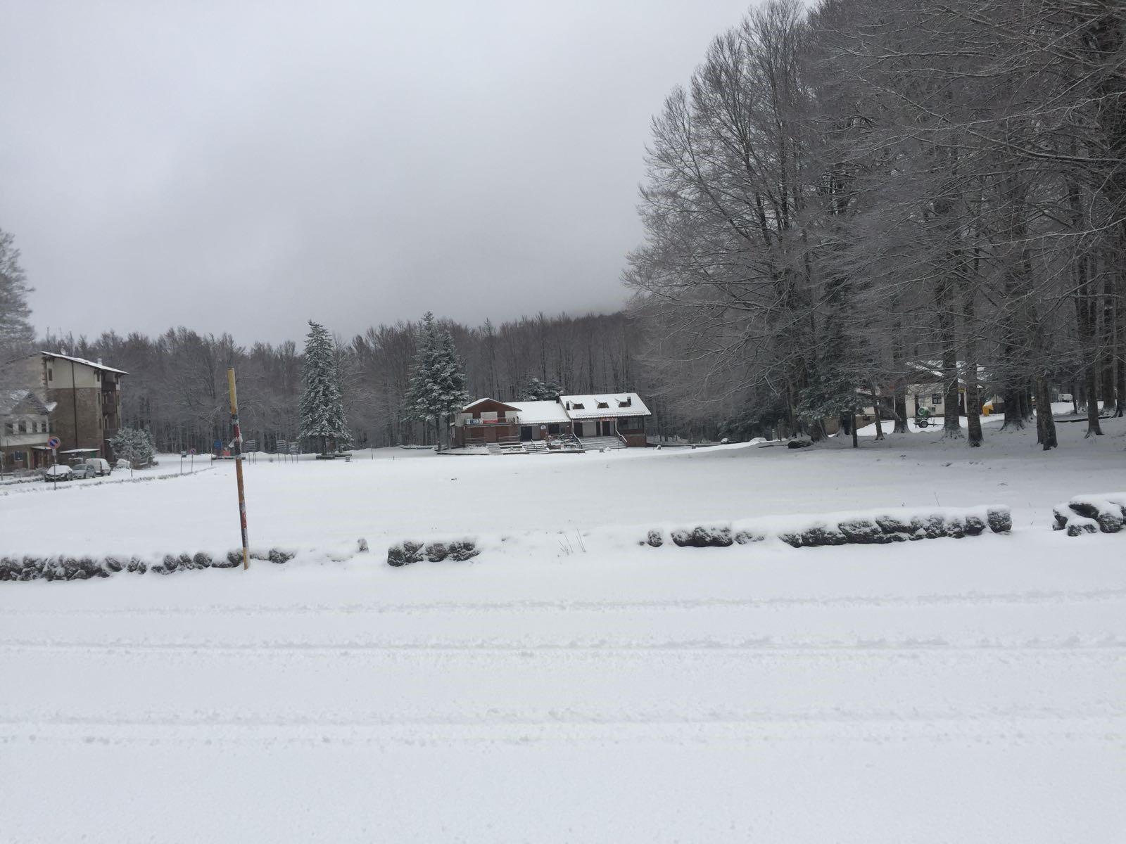 Paesaggio alpino sull'Amiata