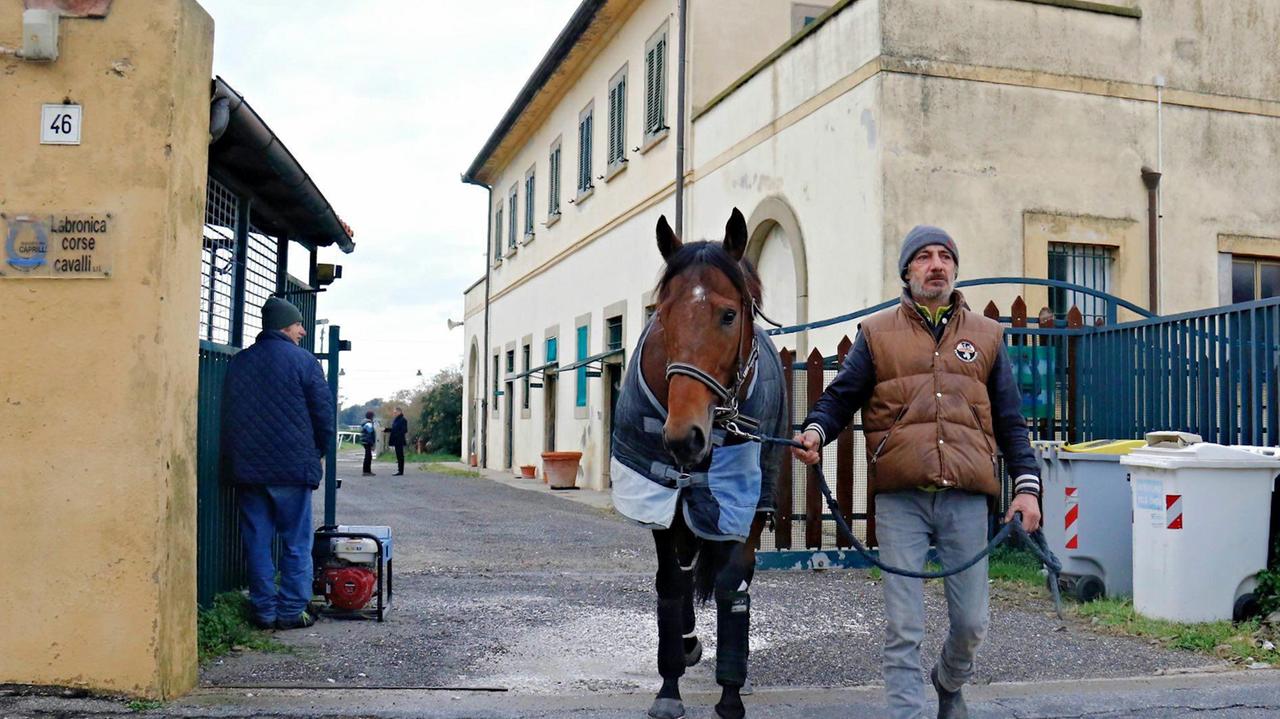 Fine della corsa: via anche i cavalli, ippodromo sigillato
