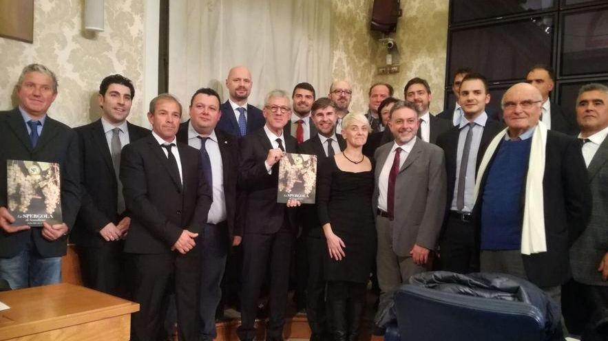 «Spergola, l’alta qualità risulta vincente»