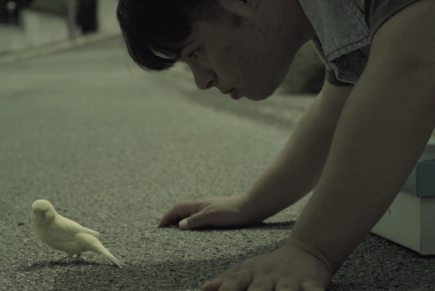 Ritorna “Passaggi d’autore” La vita nel Mediterraneo 