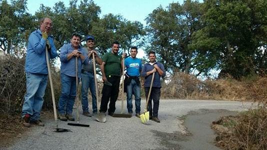 Dieci pastori sistemano una strada rurale