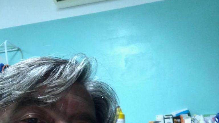 È rinato il gatto Silvestro, una comunità tifava per lui