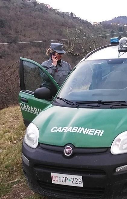 Manodopera clandestina, quattro persone denunciate 
