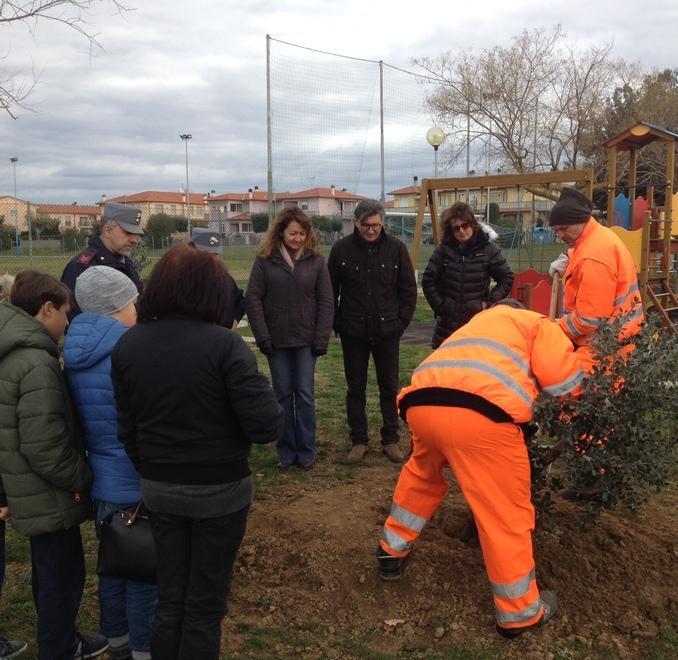 Due nuovi lecci nell’area giochi 