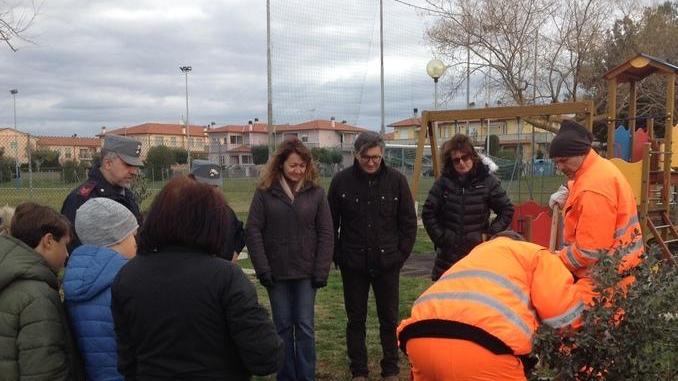 Due nuovi lecci nell’area giochi
