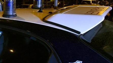 Rubavano ortaggi nelle aziende, arrestati
