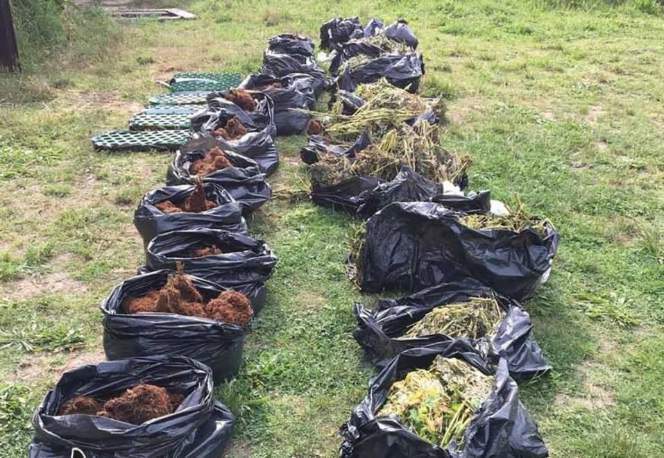 Chili di droga nel casolare Nei guai sportivi di serie A 
