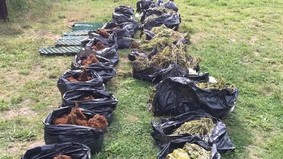Chili di droga nel casolare Nei guai sportivi di serie A