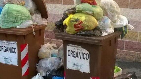 L’organico riempie i contenitori della Darsena tra le proteste