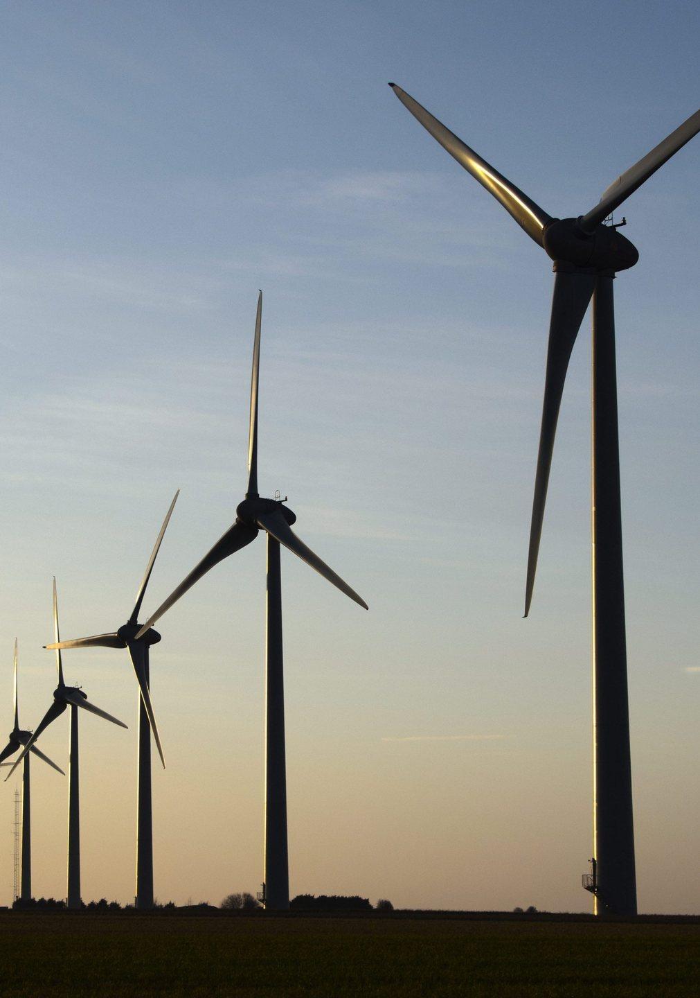 Sennori, i pipistrelli fermano il progetto del parco eolico 