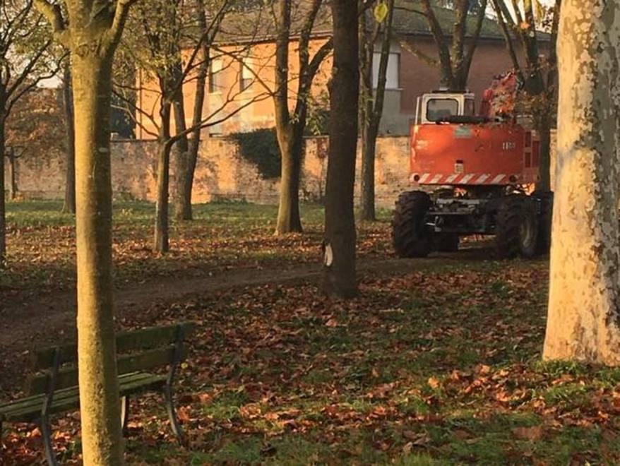 «Il verde è una priorità» Interventi per la sicurezza 