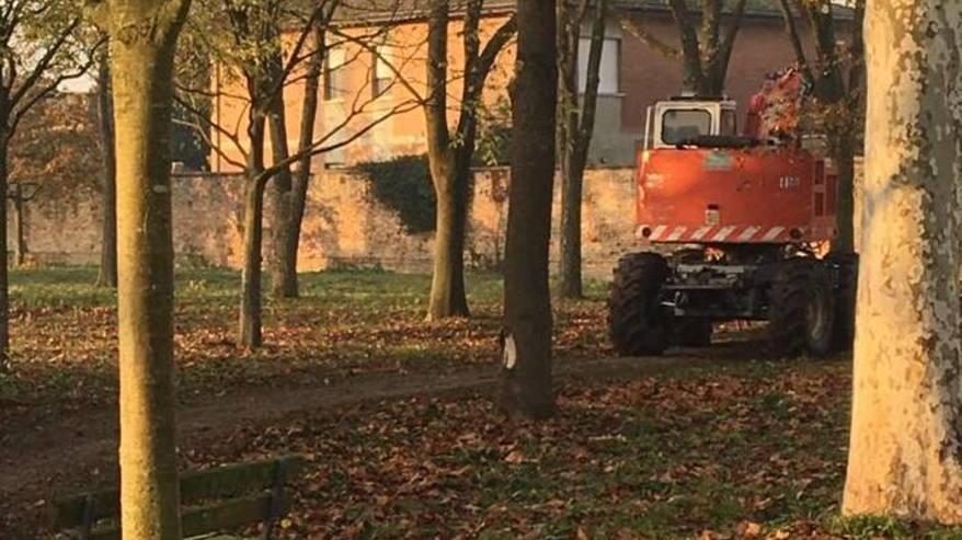 «Il verde è una priorità» Interventi per la sicurezza