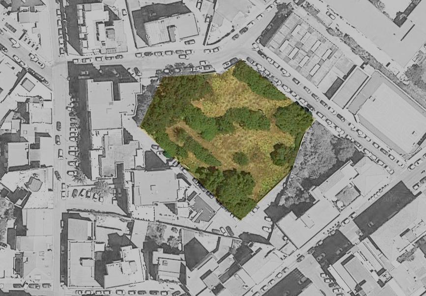 Il piccolo orto botanico simbolo della rinascita