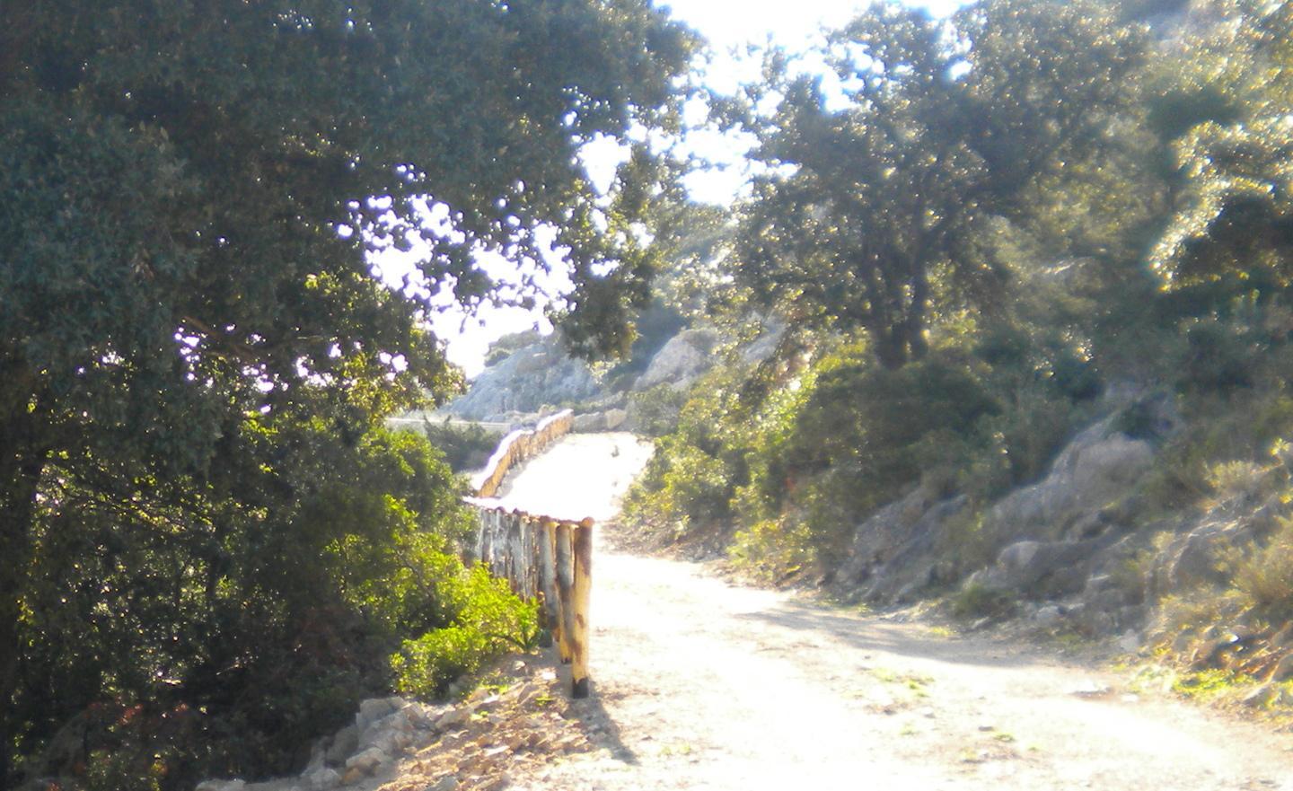 Silanus, lavori nella strada di Santu Portolu