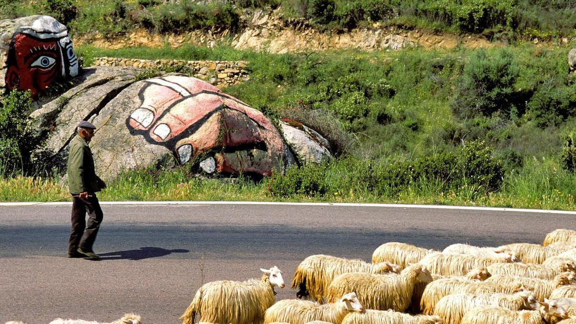 Sos del sindaco: allevatori in ginocchio