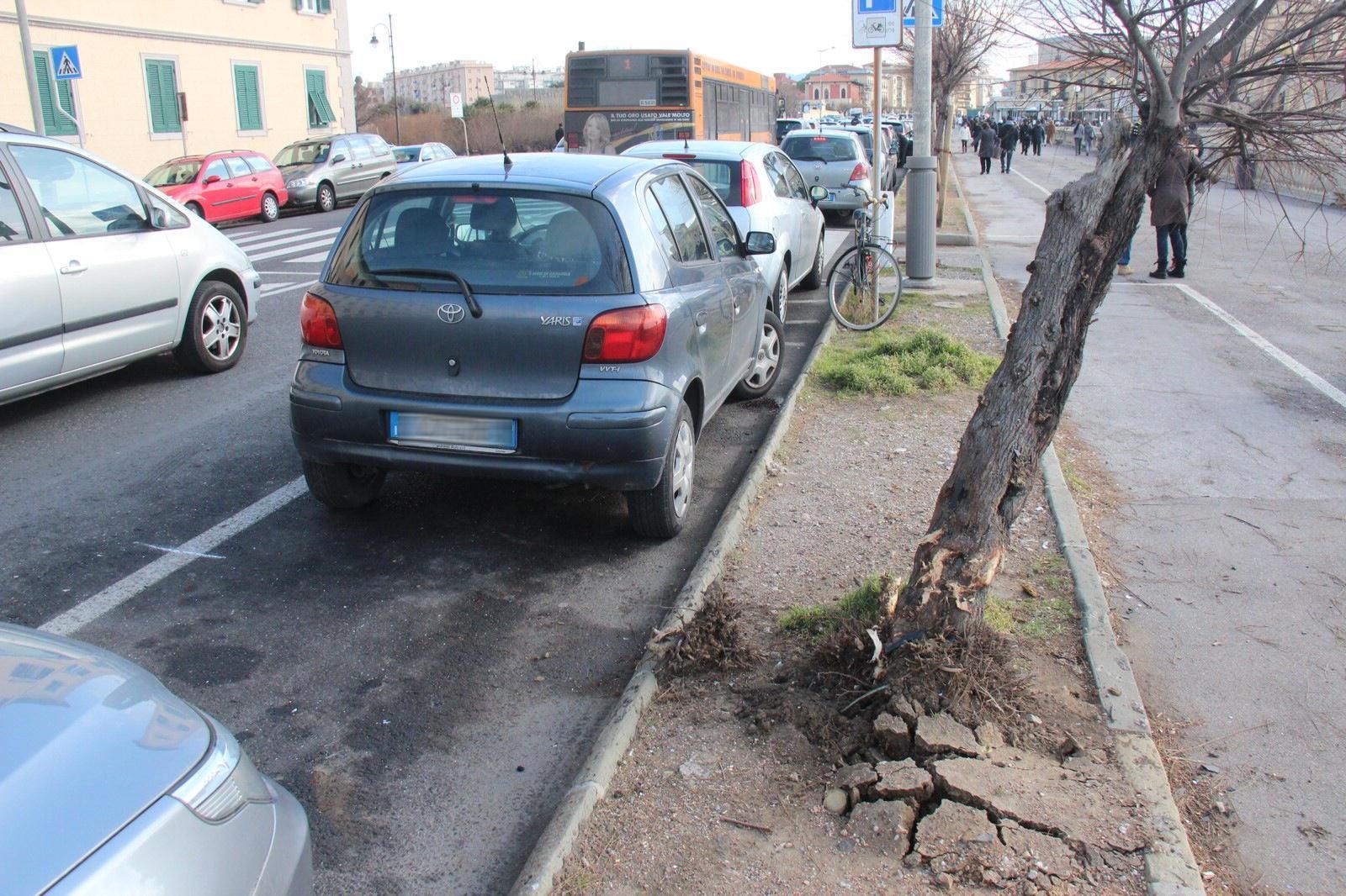 Piano della sosta, viale Italia a 0,50 euro l’ora: ecco tutte le nuove tariffe 