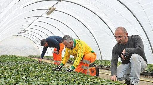 La Spiga di Grano inaugura uffici e cantiere operativo