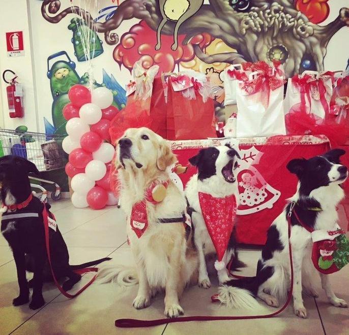 Pet therapy I cani di Dog4Life all’Aurelia Antica