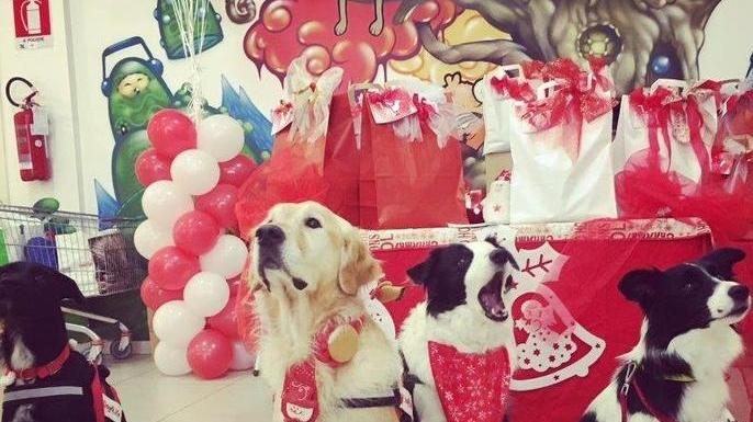 Pet therapy I cani di Dog4Life all’Aurelia Antica