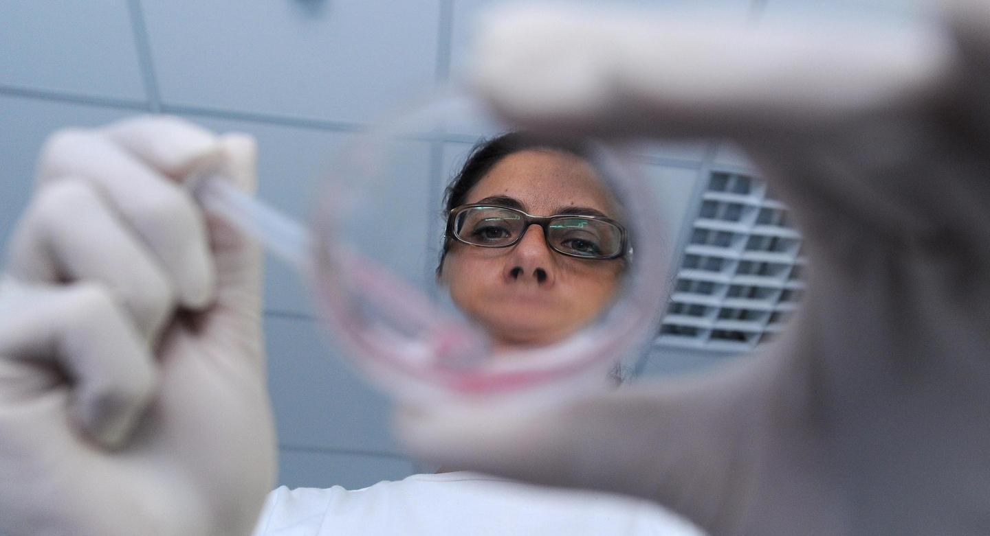Diabete, un problema che riguarda tutto l’Occidente 
