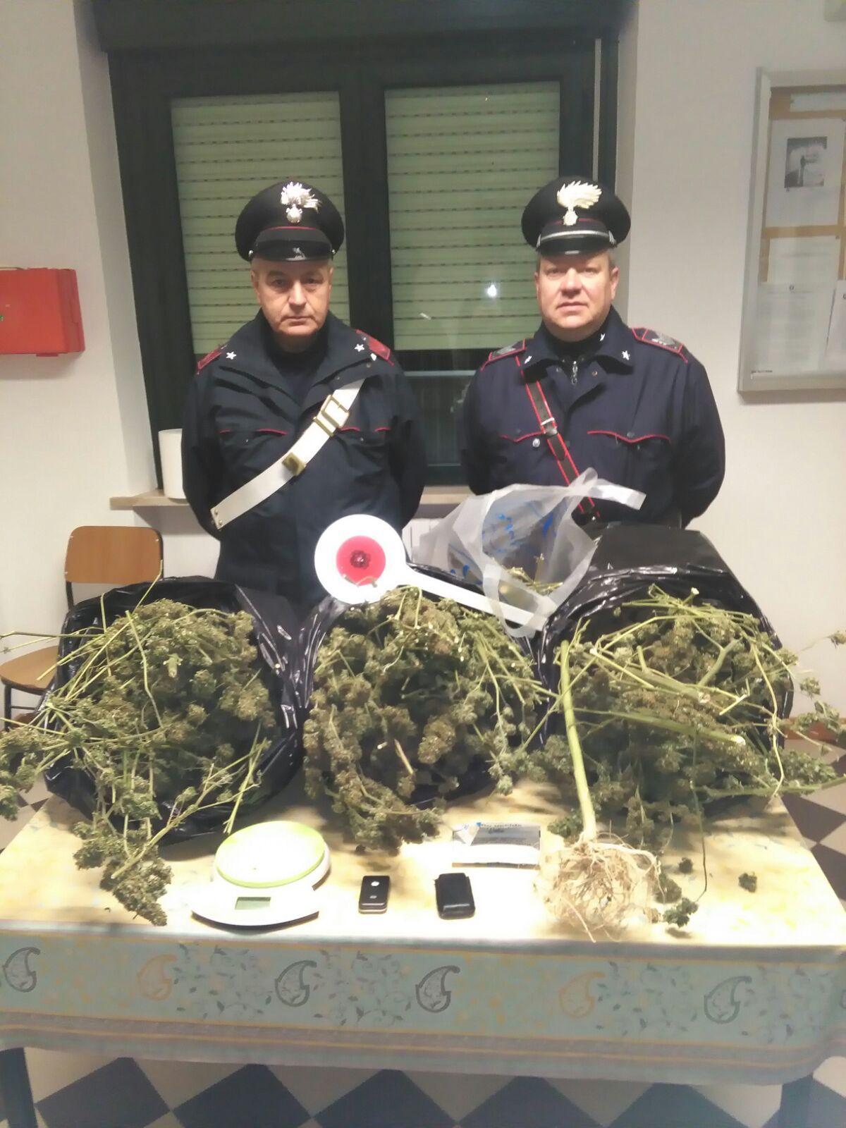 Quattro chili di marijuana in casa: nei guai un 33enne