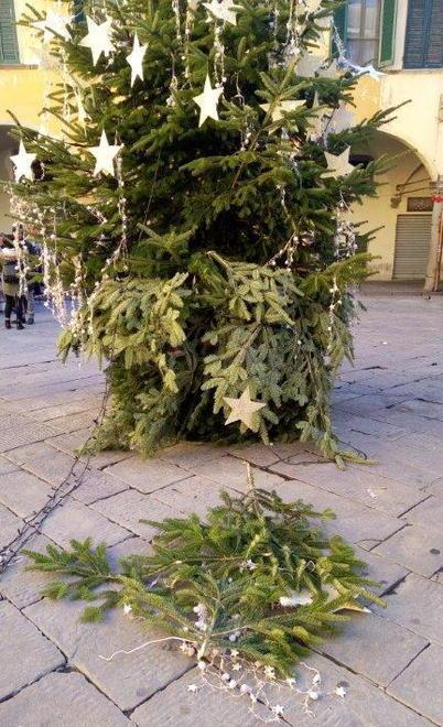 Vandali in piazza Vettovaglie danneggiato l’albero di Natale