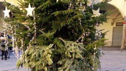 Vandali in piazza Vettovaglie danneggiato l’albero di Natale