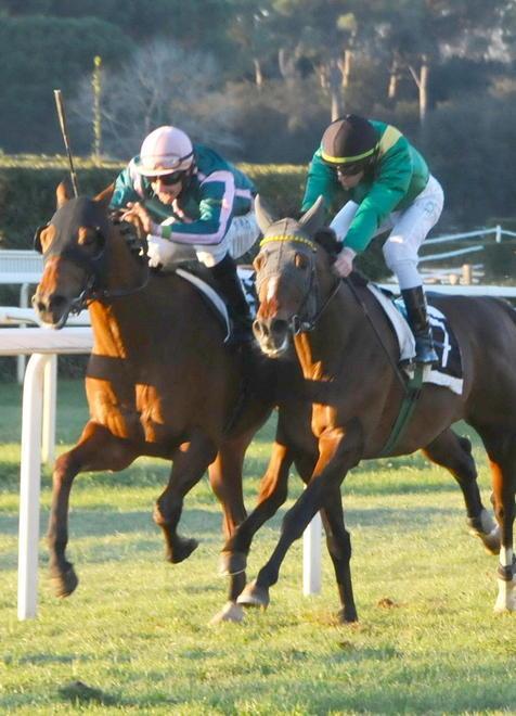 Criterium, Andred e Meydan Cup: show a San Rossore 