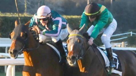 Criterium, Andred e Meydan Cup: show a San Rossore